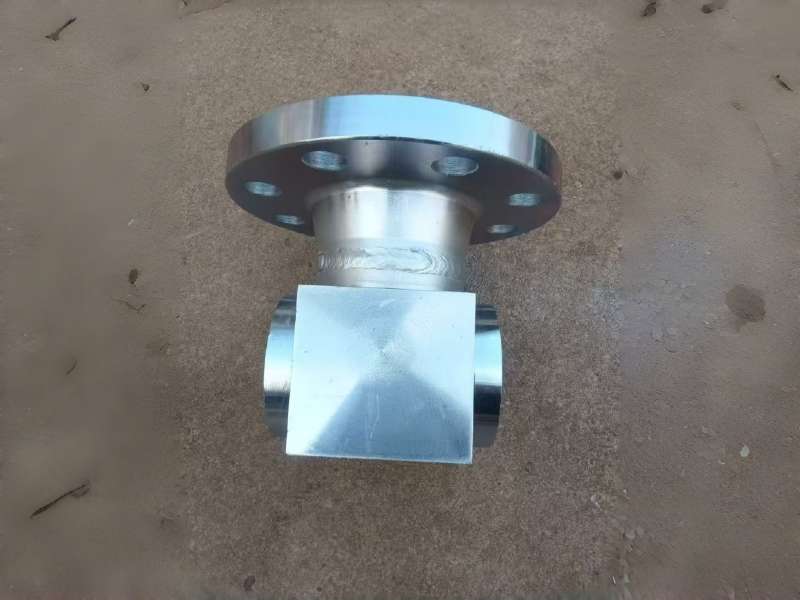 ���w���M��